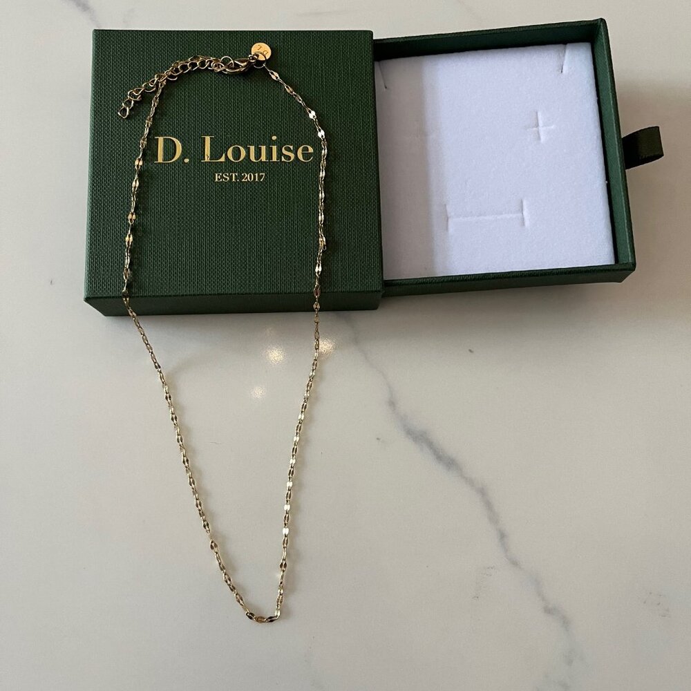 *Like New* D. Louise Dainty Necklace
